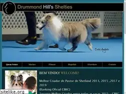 Sites similar to sheltie.vet.br