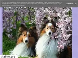 Sites similar to sheltiedoc.blogspot.com