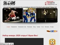Sites similar to shembrosacademy.ru