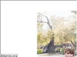 Sites similar to shennyyang.com