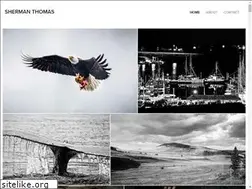 Sites similar to shermanthomas.com