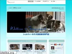 Sites similar to sheru.biz