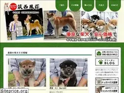 Sites similar to shi-ba-ken.com