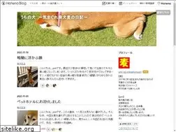 Sites similar to shibainumugi.com