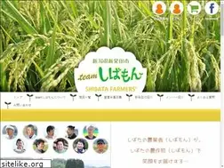 Sites similar to shibamon.jp