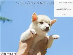 Sites similar to shibaya.info