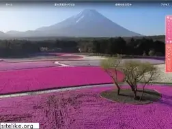 Sites similar to shibazakura.jp