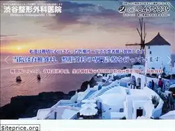 Sites similar to shibuya-seikei.com