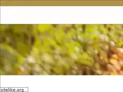 Sites similar to shiftchiropractic.com