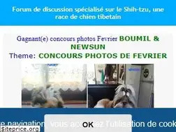 Sites similar to shih-tzu.fr