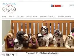 Sites similar to shihtzuandfurbabyrescue.com
