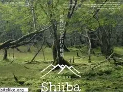 Sites similar to shiibakanko.jp