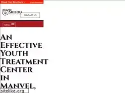 Sites similar to shilohtreatmentcenter.com