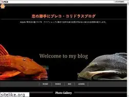 Sites similar to shimatyuu.jp