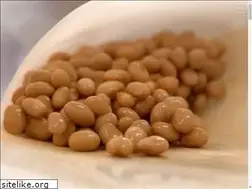 Sites similar to shimonita-natto.jp