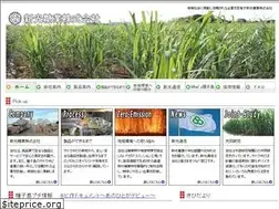 Sites similar to shinko-sugar.co.jp
