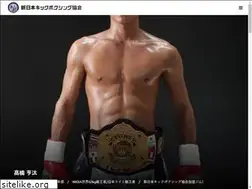 Sites similar to shinnihonkickboxing.com