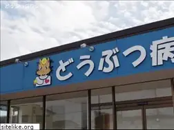 Sites similar to shinvet.jp