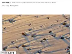 Sites similar to shinypebble.com