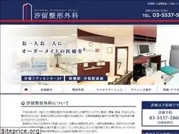 Sites similar to shiodome-seikei.com