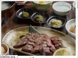 Sites similar to shirakaba-saryou.com