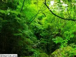 Sites similar to shiso.or.jp