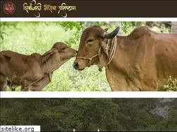 Sites similar to shivanjali.org