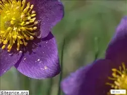 Sites similar to shn41.fr