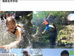 Sites similar to shonan-ns.com