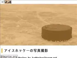 Sites similar to shooting-icehockey.weebly.com