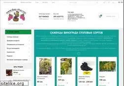 Sites similar to shop-vine.com
