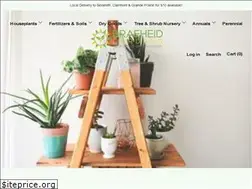 Sites similar to shopbraeheid.com