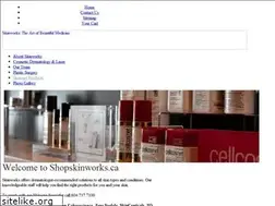 Sites similar to shopskinworks.com