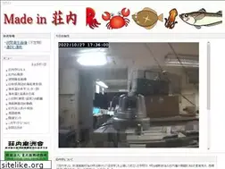 Sites similar to shounai.org