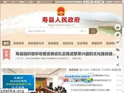 Sites similar to shouxian.gov.cn