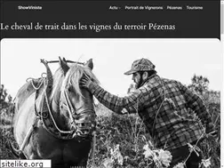 Sites similar to showviniste.fr