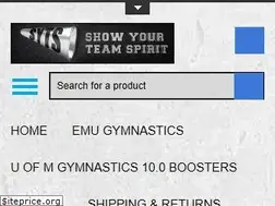 Sites similar to showyourteamspirit.com
