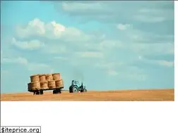 Sites similar to shreejigroup.biz