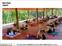 Sites similar to shrikali.jp