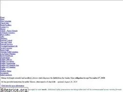Sites similar to shrineofstpatrick.org
