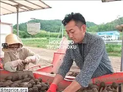 Sites similar to shun-choku.com
