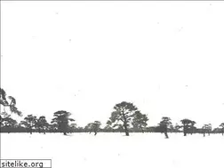 Sites similar to shunkawakami.jp