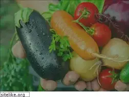 Sites similar to shuswapfood.ca