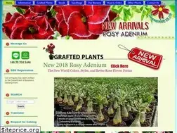 Sites similar to siamadenium.com