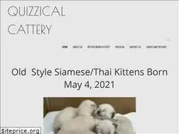 Sites similar to siamesekitten.net