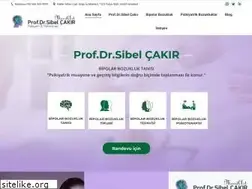 Sites similar to sibelcakir.com.tr