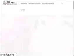 Sites similar to sibeldemirguzellik.com
