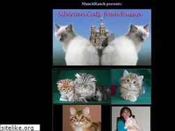 Sites similar to siberiancatbreeders.com