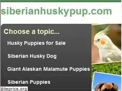 Sites similar to siberianhuskypup.com