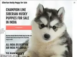 Sites similar to siberianhuskypuppyforsale.in